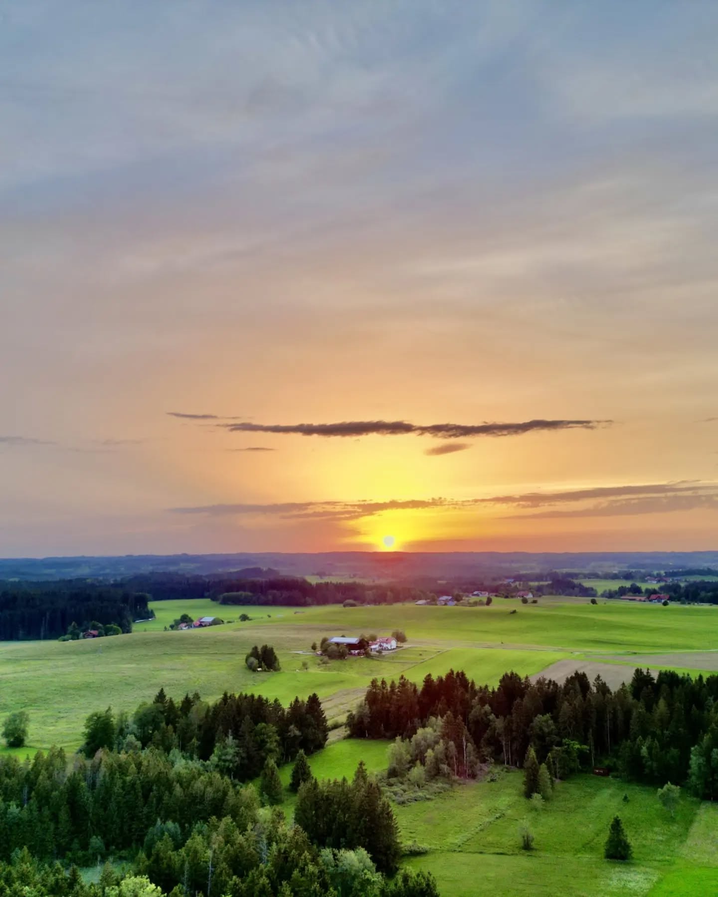 Beim Anblick der Pfila Bilder ...