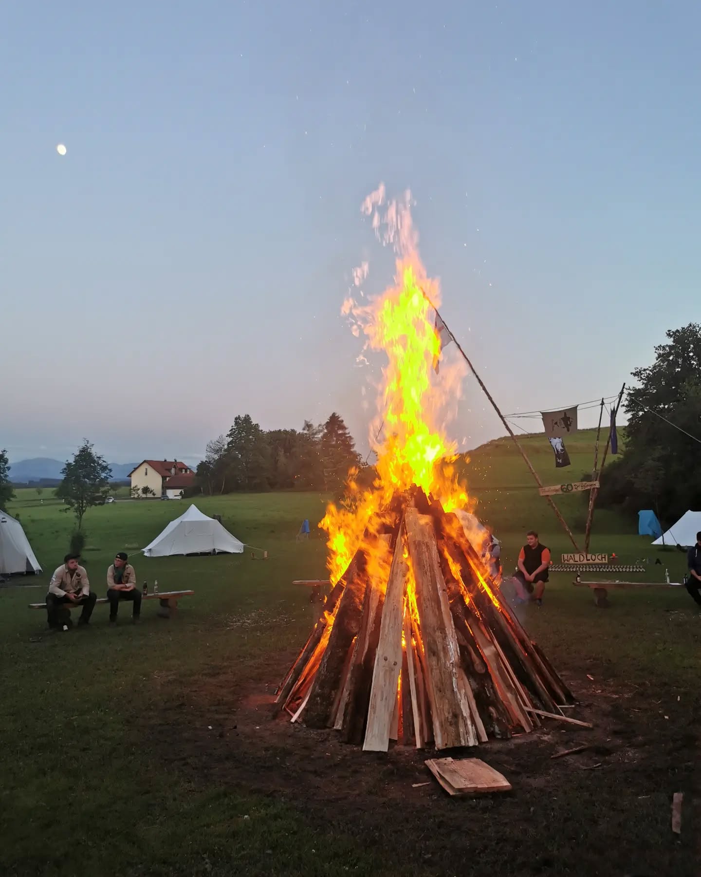 Beim Anblick der Pfila Bilder ...