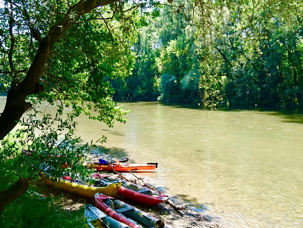 Am Samstag (17.08.19) sind dre...